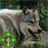 icon Wild Hunter Escape Forest 1.3