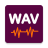icon WAV editor 24