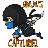 icon Ninjas capture 1.2.0