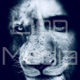icon Lion Media App