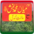 icon Kalam Mian Muhammad Bakhsh R.A 9.0
