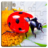 icon Insect Puzzles 18.1