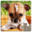 icon Dog Puzzles 18.1