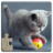 icon Cat Puzzles 18.1