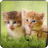 icon Dog and Cat Puzzle 2018.1.8
