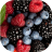 icon Wild berries live wallpaper 5.0