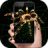 icon Spider in phone 3.2.0