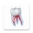icon Dental Illustrations 2.0.94