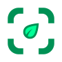 icon Plants Identifier