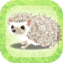 icon Hedgehog