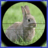 icon Rabbit Hunter 3.6