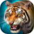 icon The Tiger 1.4.9