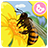 icon com.sencatech.game.bee 1.2.2