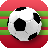 icon Crazy Soccer Ball Kicks 1.0