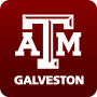 icon Texas A&M University Galveston for intex Aqua A4