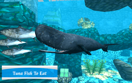 Whale Sim - Sea Eater