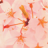 icon a.kakao.iconnect.dear.flowers 2.1