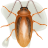 icon Killer cockroaches 2.0.0