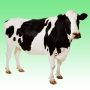 icon Cow sounds for intex Aqua A4