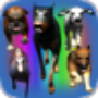 icon Dog Sim