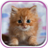 icon Cute Kittens Live Wallpaper 2.4