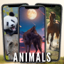 icon Animals Wallpaper HD 4K for Samsung S5830 Galaxy Ace