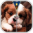 icon Puppy Zipper Lock Screen 35.4