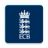icon ECB Cricket 206