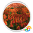 icon Tulips Field Live Wallpaper 1.0.b45013