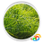 icon Grass Real Live Wallpaper 1.0.b44013