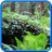icon Forest 2.720.0.12