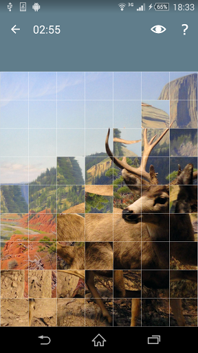 Jigsaw Puzzle: Animals