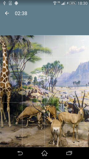 Jigsaw Puzzle: Animals