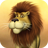 icon Talking Luis Lion 3.21.0