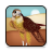 icon Fantasy Birds Wallpapers 1.2