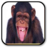 icon Monkey sounds 1.0