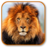 icon lion 1.0