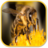 icon Bees Sounds 1.0