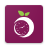 icon Plum Clock 9.3