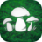 icon The Mushroom Hunter 1.9