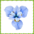 icon Iris Flowers Onet Game 1.0