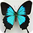 icon Butterfly vs Spider Attack 1.2