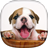 icon Puppy Live Wallpaper 2.3