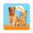 icon Dog Translator 1.0.9