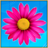 icon Flower Jumpy Line 1.8