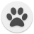 icon Paws 3.1