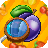 icon Hidden Objects Fruits 1.1