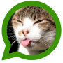 icon Cats for social networks for Sony Xperia XZ1 Compact