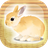 icon Rabbit 1.8
