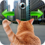 icon Cat In City Go Simulator